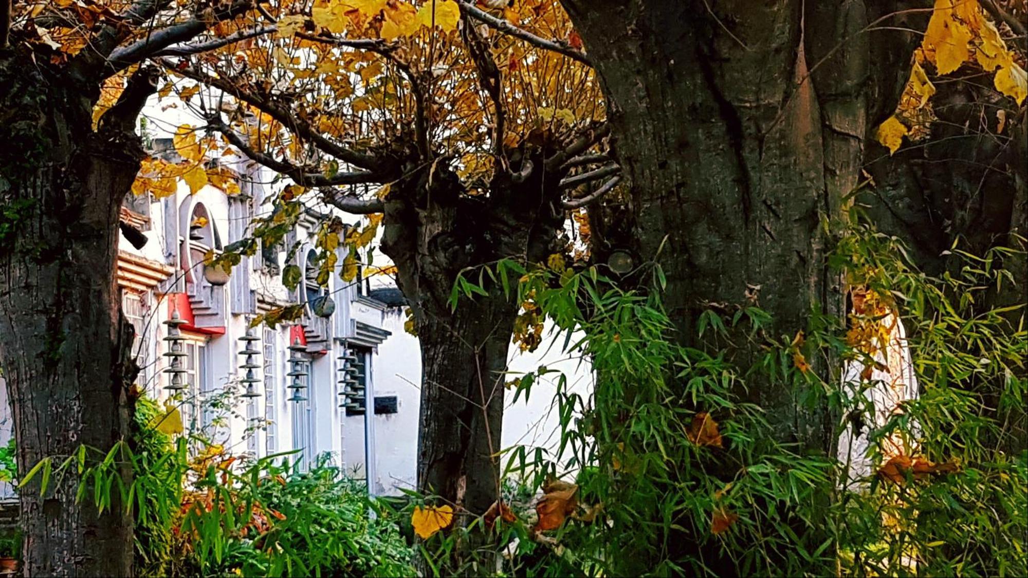 Zentral Club Apartamento Proton-Jacuzzi Belmonte De Miranda エクステリア 写真